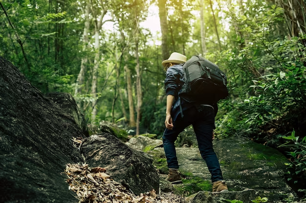 Man with a backpack trekking through lush green landscape