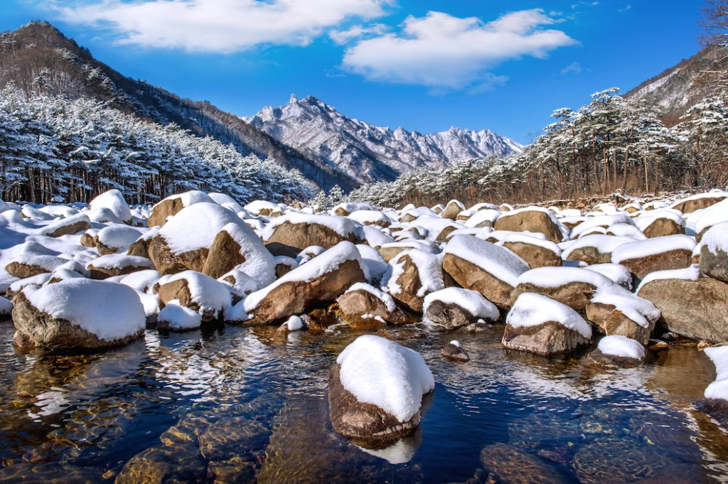 Snow melting on a rock